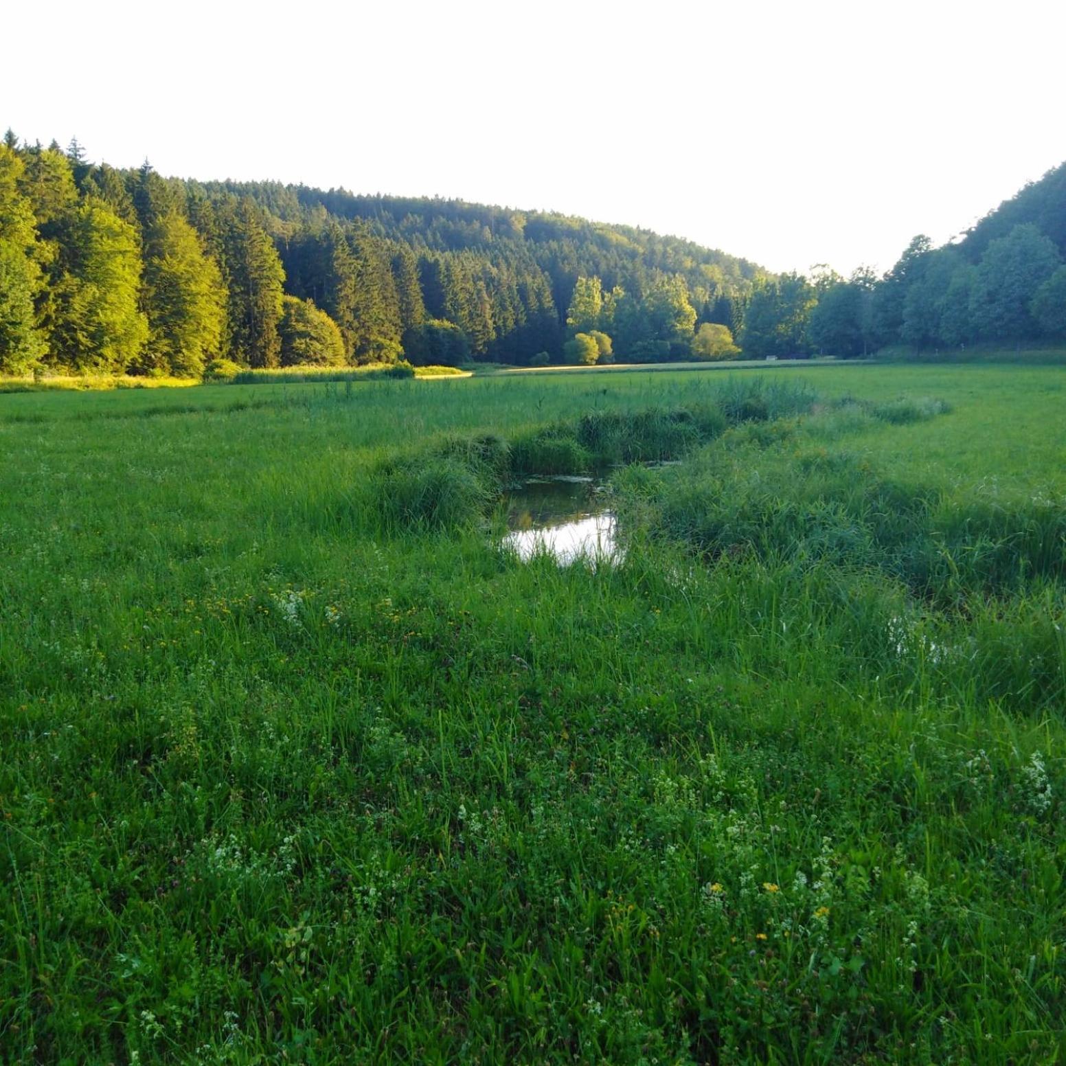Ferienhaus Am Bach Mit Grossem Garten Deuerling Luaran gambar